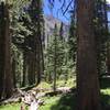 South side of range, on the southern side of Wheeler Peak, lots of switchbacks ahead