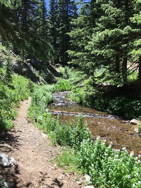 Follow the trail, you can see several "trails" on the other side of the creek. Walk up side of hill to find the real trail.