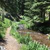 Follow the trail, you can see several "trails" on the other side of the creek. Walk up side of hill to find the real trail.