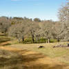 Morgan Territory Regional Preserve, Blue Oak Trail.