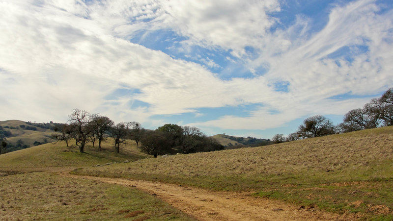 Morgan Territory Regional Preserve, Blue Oak Trail.