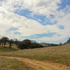 Morgan Territory Regional Preserve, Blue Oak Trail.