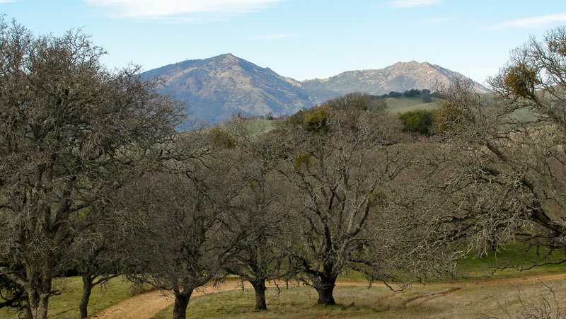 Morgan Territory Regional Preserve, Blue Oak Trail.