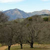 Morgan Territory Regional Preserve, Blue Oak Trail.