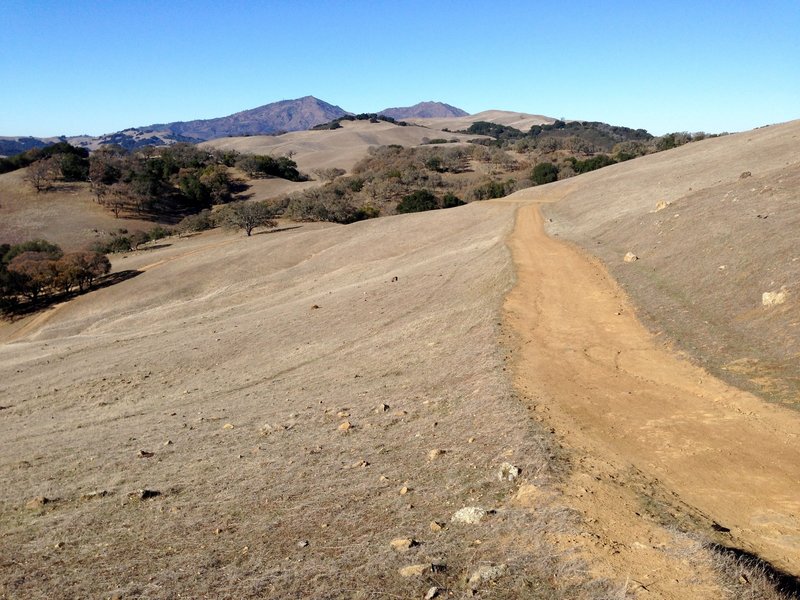 Morgan Territory Regional Preserve, near the start of the Volvon Loop Trail.