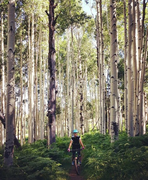 All smiles on this trail.