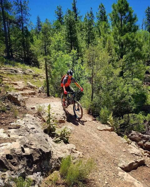 Going back down from Fisher Point - rider Dinno Domingo.