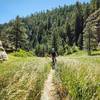 Flagstaff AZ has some of the greenest trails we've ever ridden.