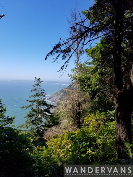 Amazing coastal views when you get a peak.