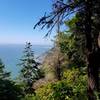 Amazing coastal views when you get a peak.