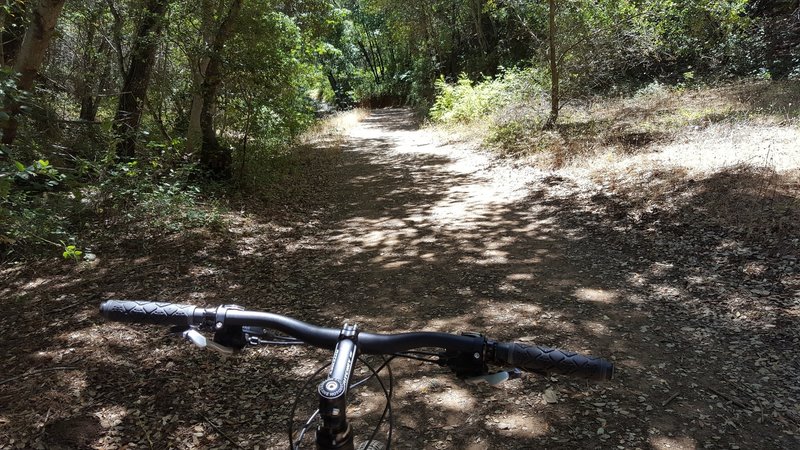 Stone Corral Trail offers brief respite from sun.