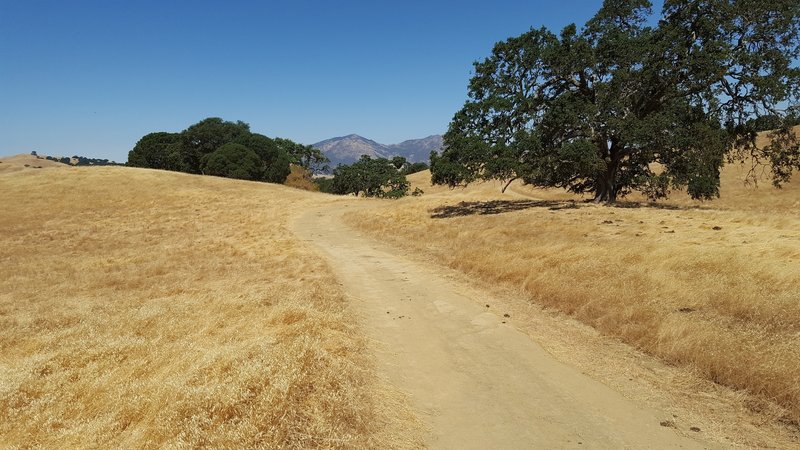 Typical Morgan Territory view and trail.