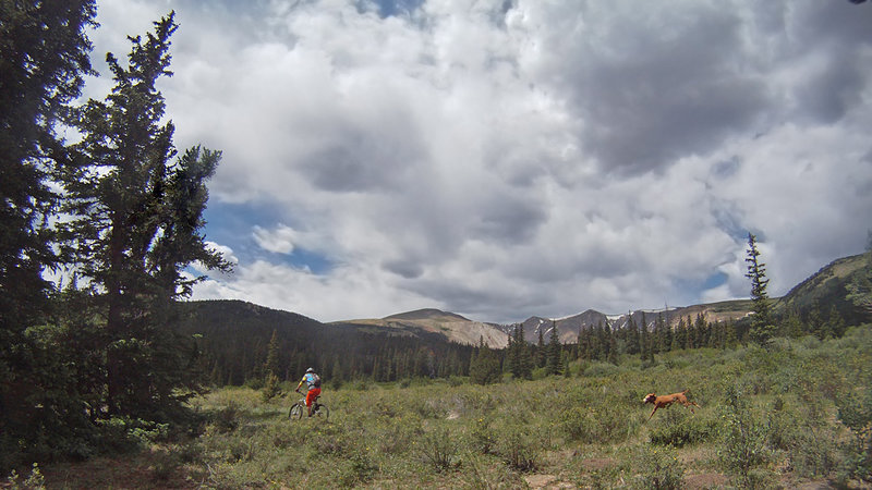 Meadow at the top.