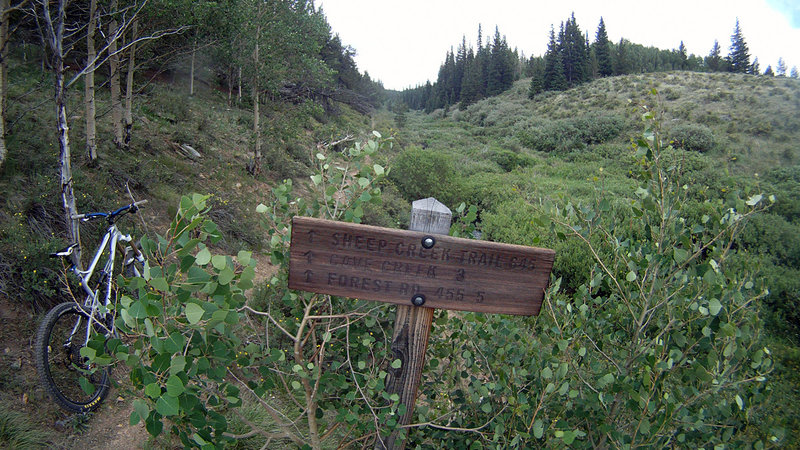 Sheep Creek Trail at 175.