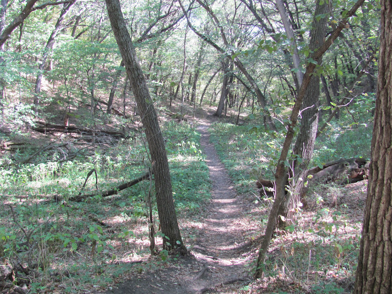 Photo of middle trail.