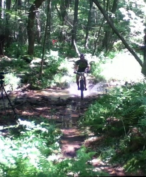 The creek crossing at the bottom of the first descent.