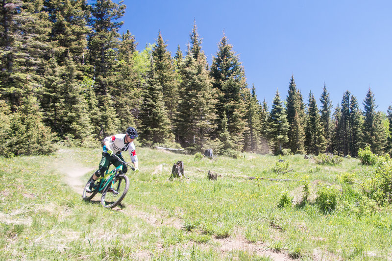 Ripping singletrack at the top of the South Boundary Trail!