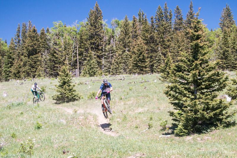 Hittin' booters and poppin' wheelies coming down the SBT outside of Angel Fire, NM!
