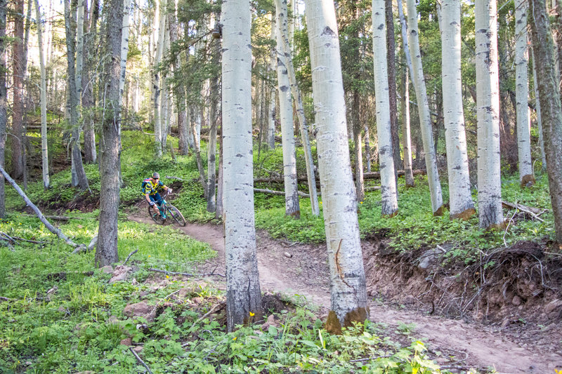 Such sweet singletrack on Heaven on Earth... the trail deserves its name!