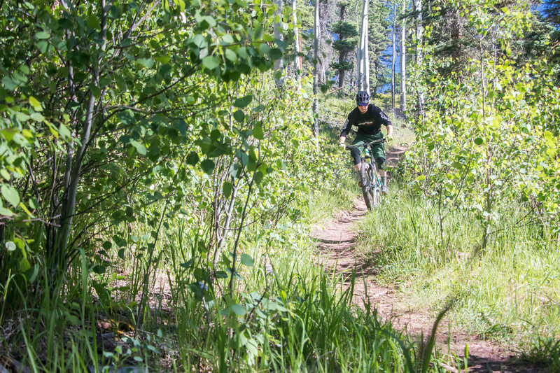 Don't underestimate the "valley trails" in Angel Fire - lots of fun to be had!