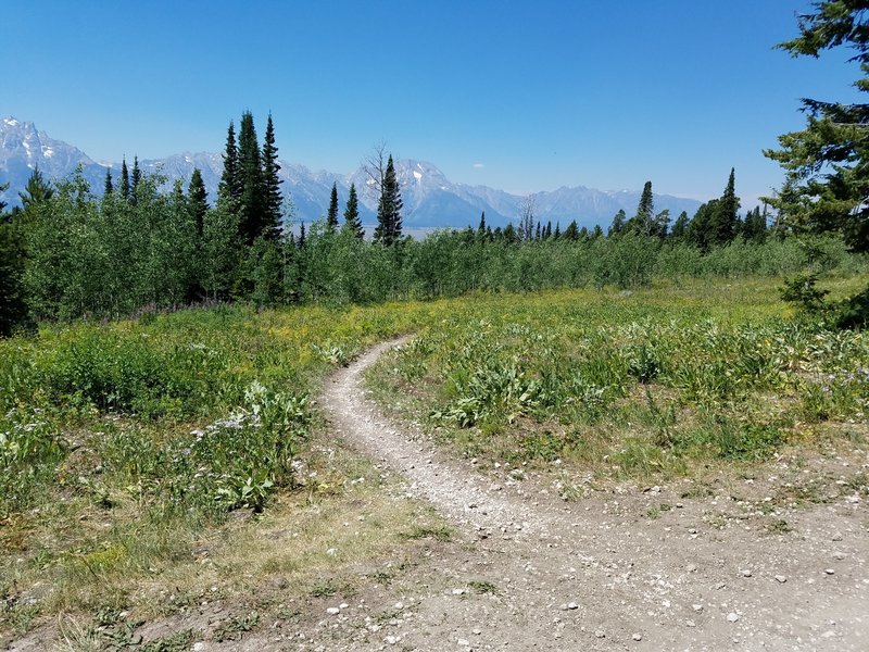 Singletrack start at the top.