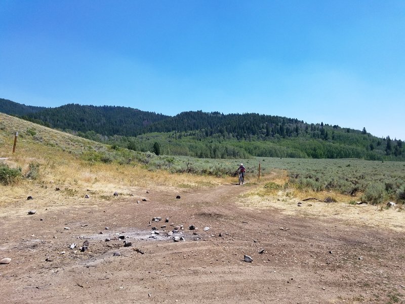 End of the singletrack, where it puts you out on the road.