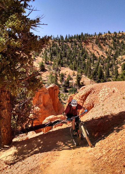 Gordon knocking out the switchbacks!