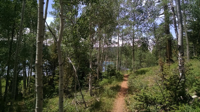 Aspen–lined singletrack along the northshore.
