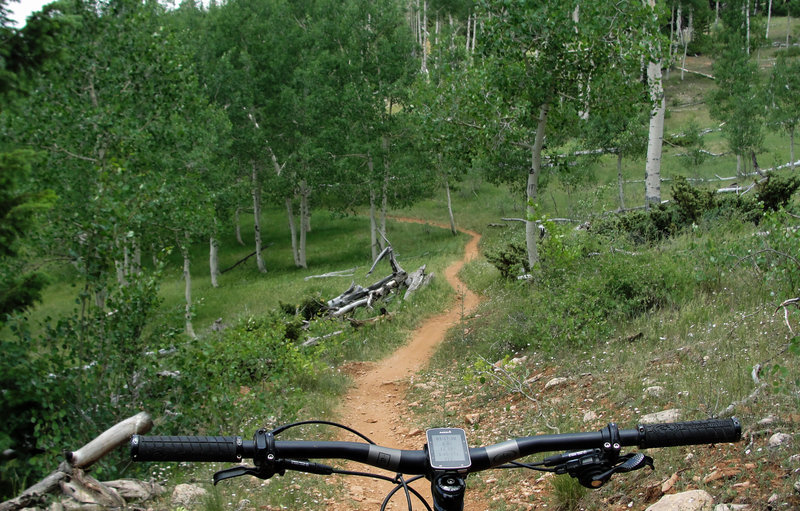 Flowy singletrack through the quakies...heavenly.