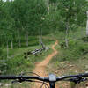 Flowy singletrack through the quakies...heavenly.