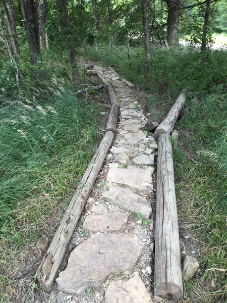 This is one of the creative obstacles they've built along the trail.  Good for new riders to build confidence!