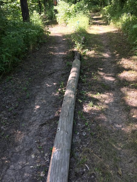 The pole separates the trail for about 20' of the total 60' the trails touch.  Stay left each time you pass by..