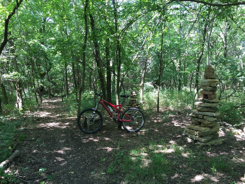 A break area along the trail on the Mt. Lehigh trail.