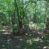 A break area along the trail on the Mt. Lehigh trail.