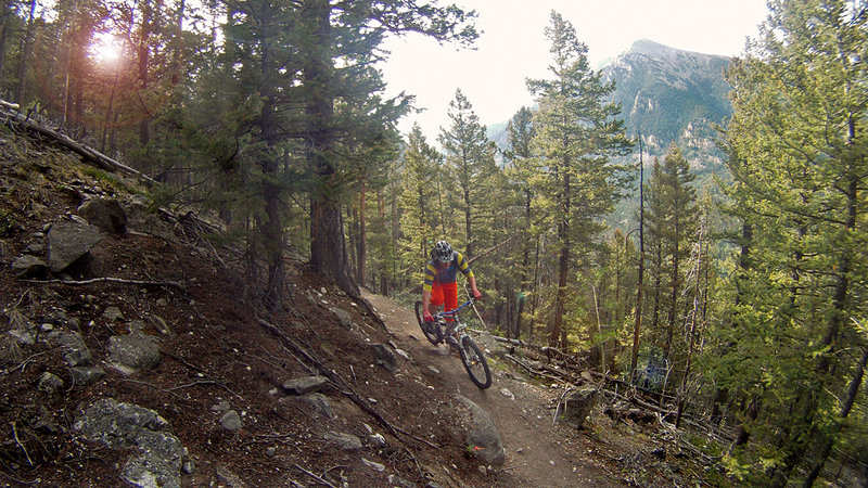 Colorado Trail - 14,235-foot (4,339 m) Mt Shavano looming in the background.