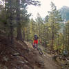 Colorado Trail - 14,235-foot (4,339 m) Mt Shavano looming in the background.