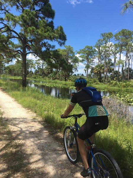 Lots of water beside the dirt roads, so look out for the alligators. These roads are well maintained. No flooding here.