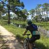 Lots of water beside the dirt roads, so look out for the alligators. These roads are well maintained. No flooding here.