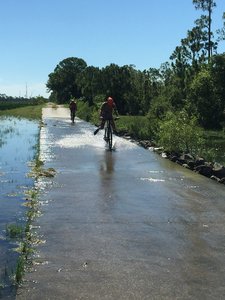 One of the three water spillways. This is the area you are most likely to spot an alligator.