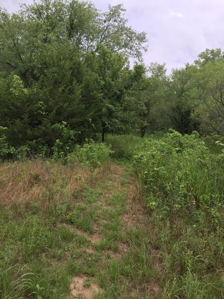 Some of the north trail is sandy, but nothing unridable.