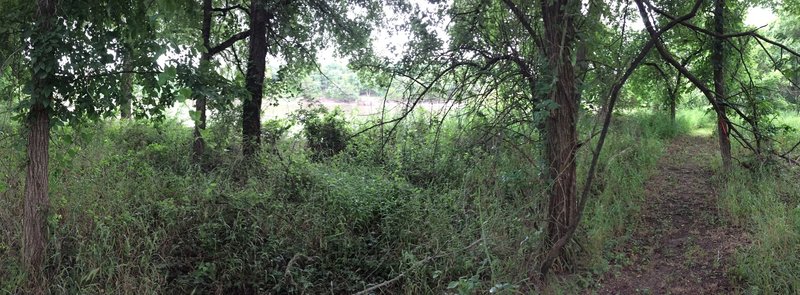 I found maybe four 20ft sections of sandy trail along the north loop.