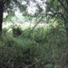 I found maybe four 20ft sections of sandy trail along the north loop.