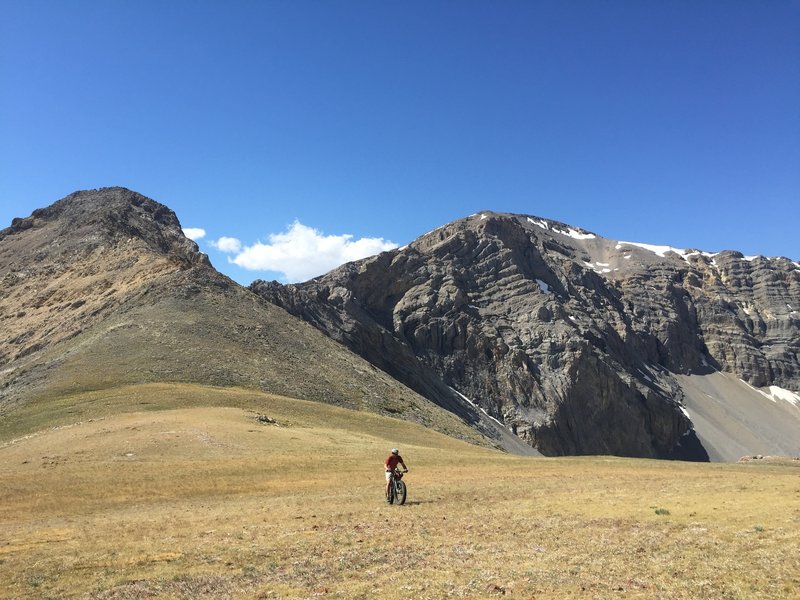 Rolling across a high alpine meadow.