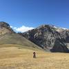 Rolling across a high alpine meadow.