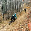 Riding through Aspens in the Fall.