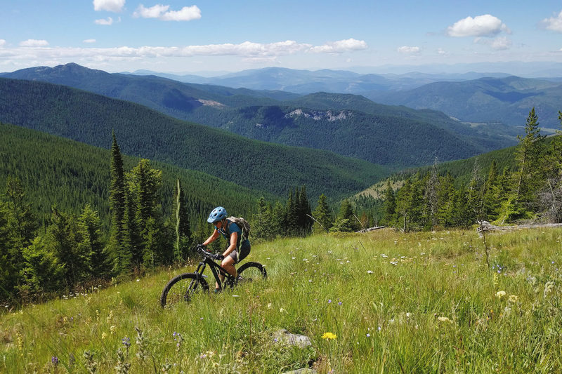 Meadows and views on the Abercrombie Mountain Trail.