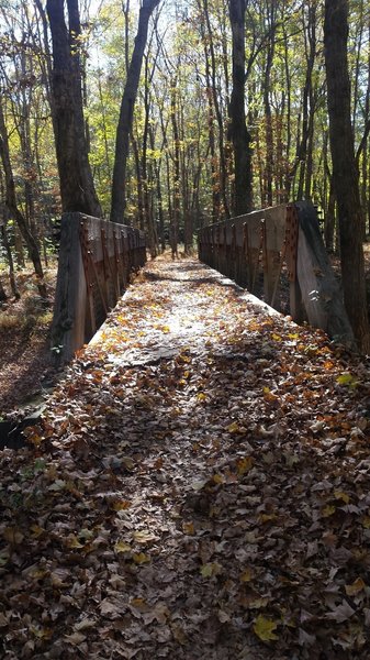 One of a handful of bridges that you'll encounter on the North-South Trail.