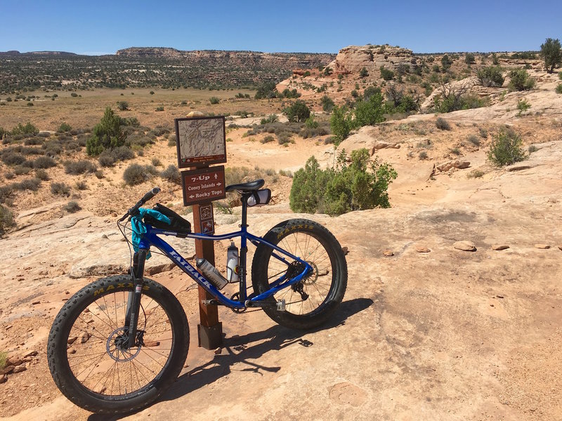 Bottom of Coney Is (E end) is a 3-way intersection with Rocky Tops and the 7-Up Trail.