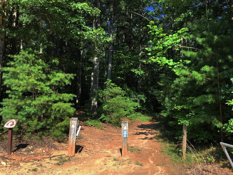 opening of the OVT trail