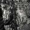 Kristi Pruitt winds into the trees on Dirt Surfer (170) at Post Canyon, OR.